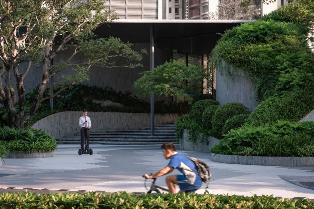 仁恒深圳公园世纪三期丨中国深圳丨TROP景观事务所-22