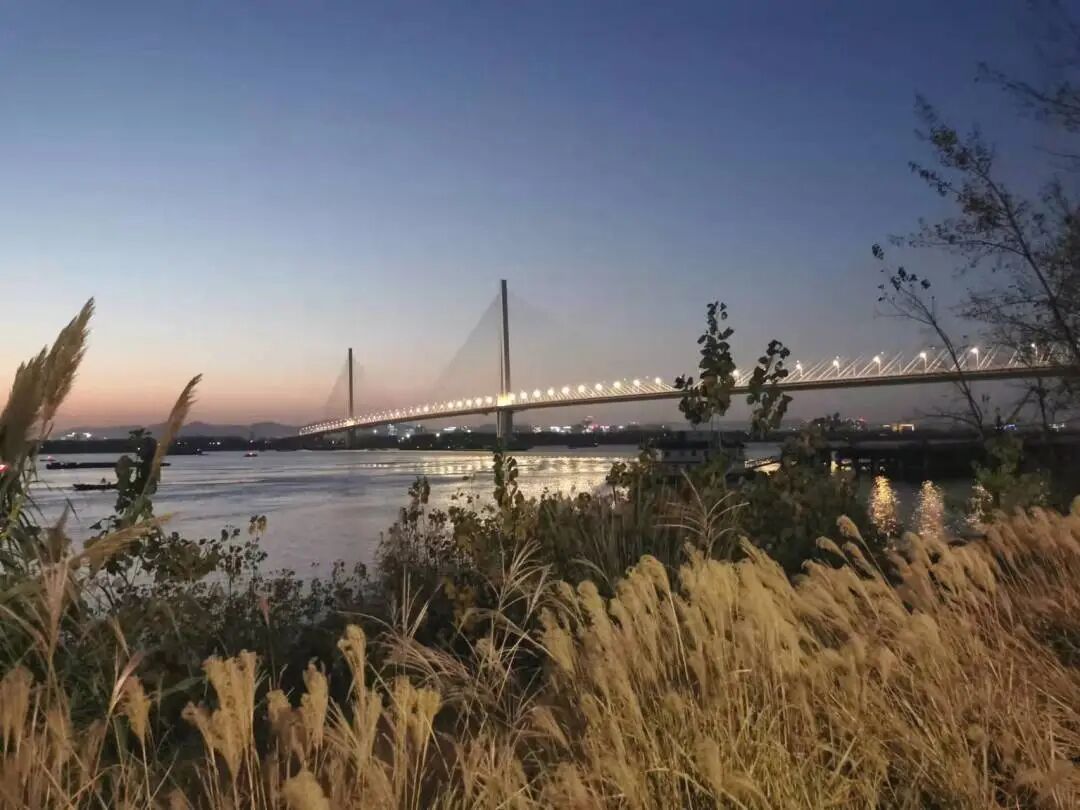 从功能至上到融入公共生活——南京江心洲排涝泵站-26