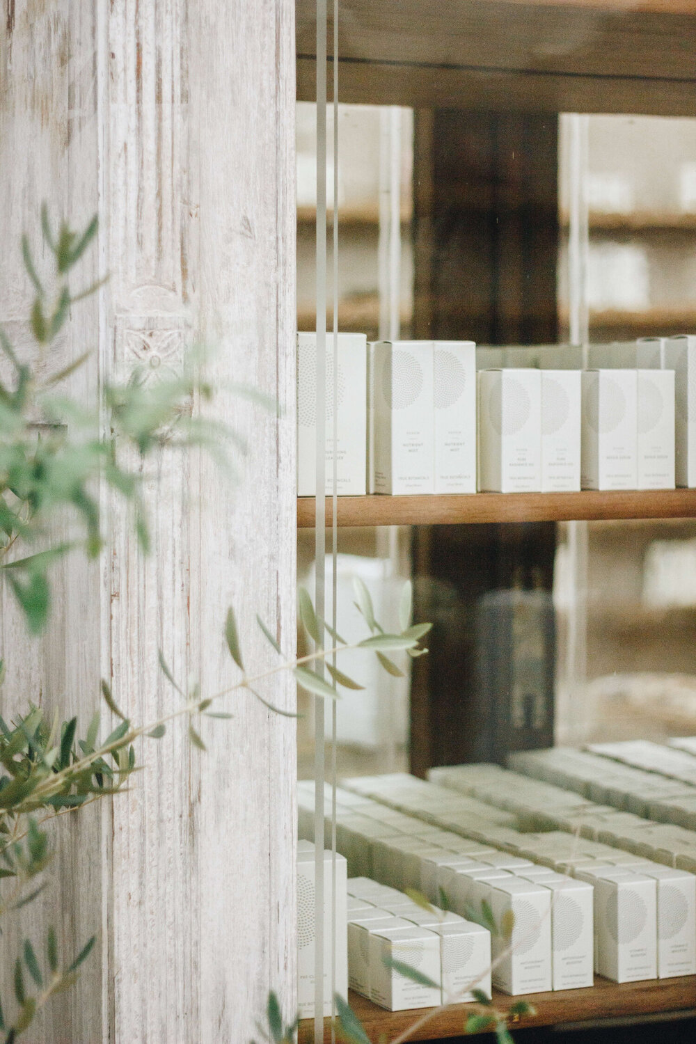 True Botanicals Jeremiah Brent-13