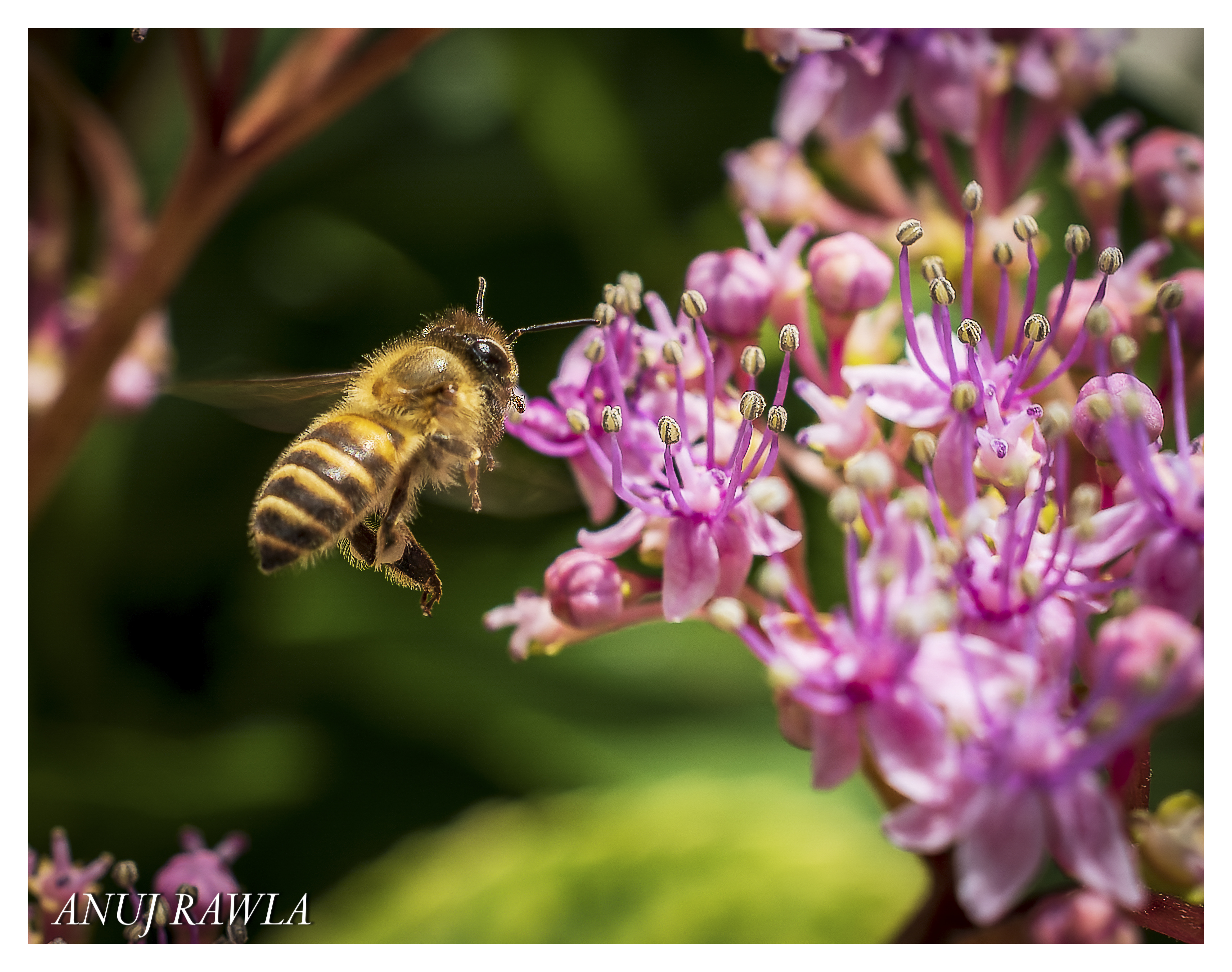 Wildflower Hall - August 2021-73