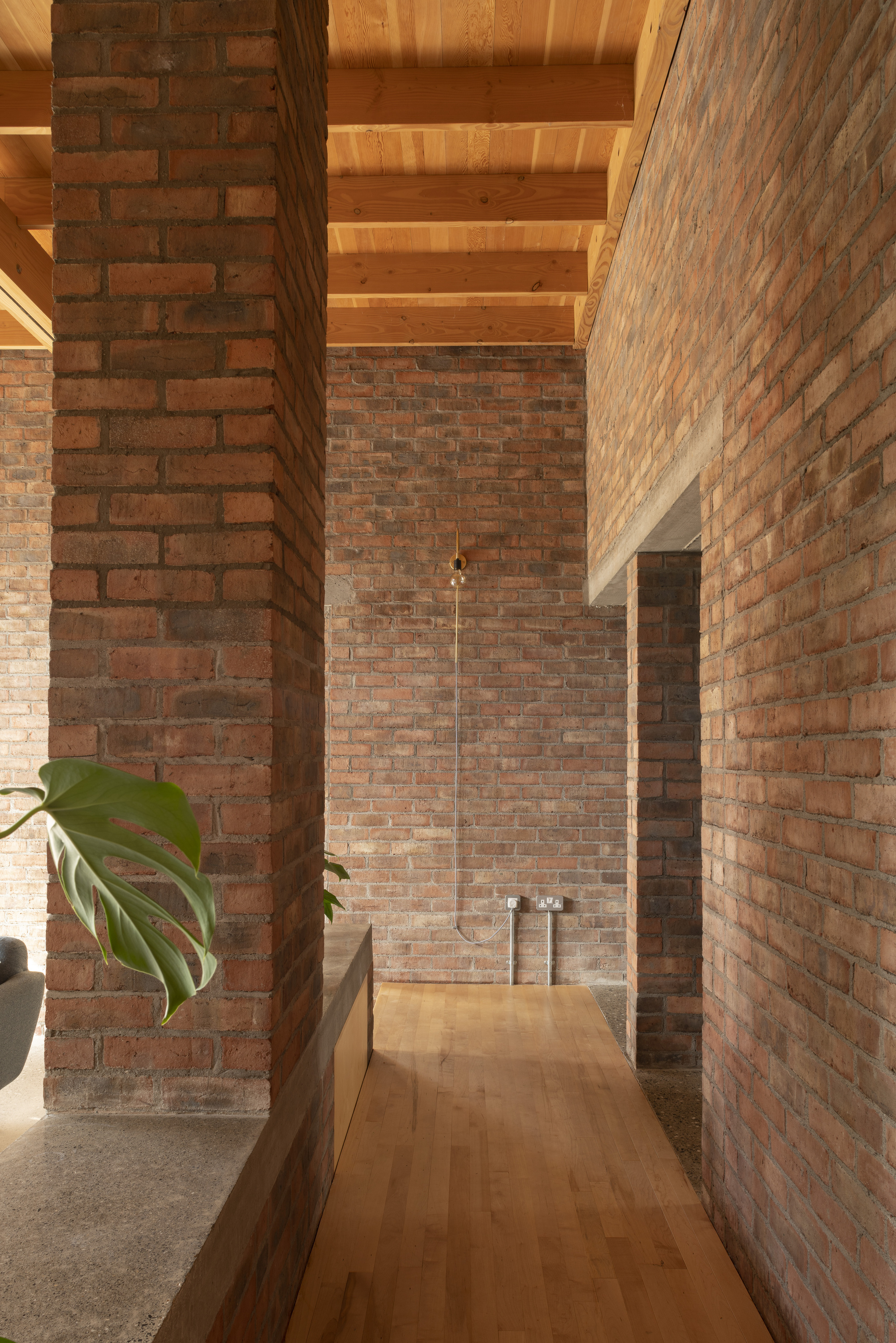 住宅,遗产和花园丨爱尔兰都柏林丨Culligan Architects-32