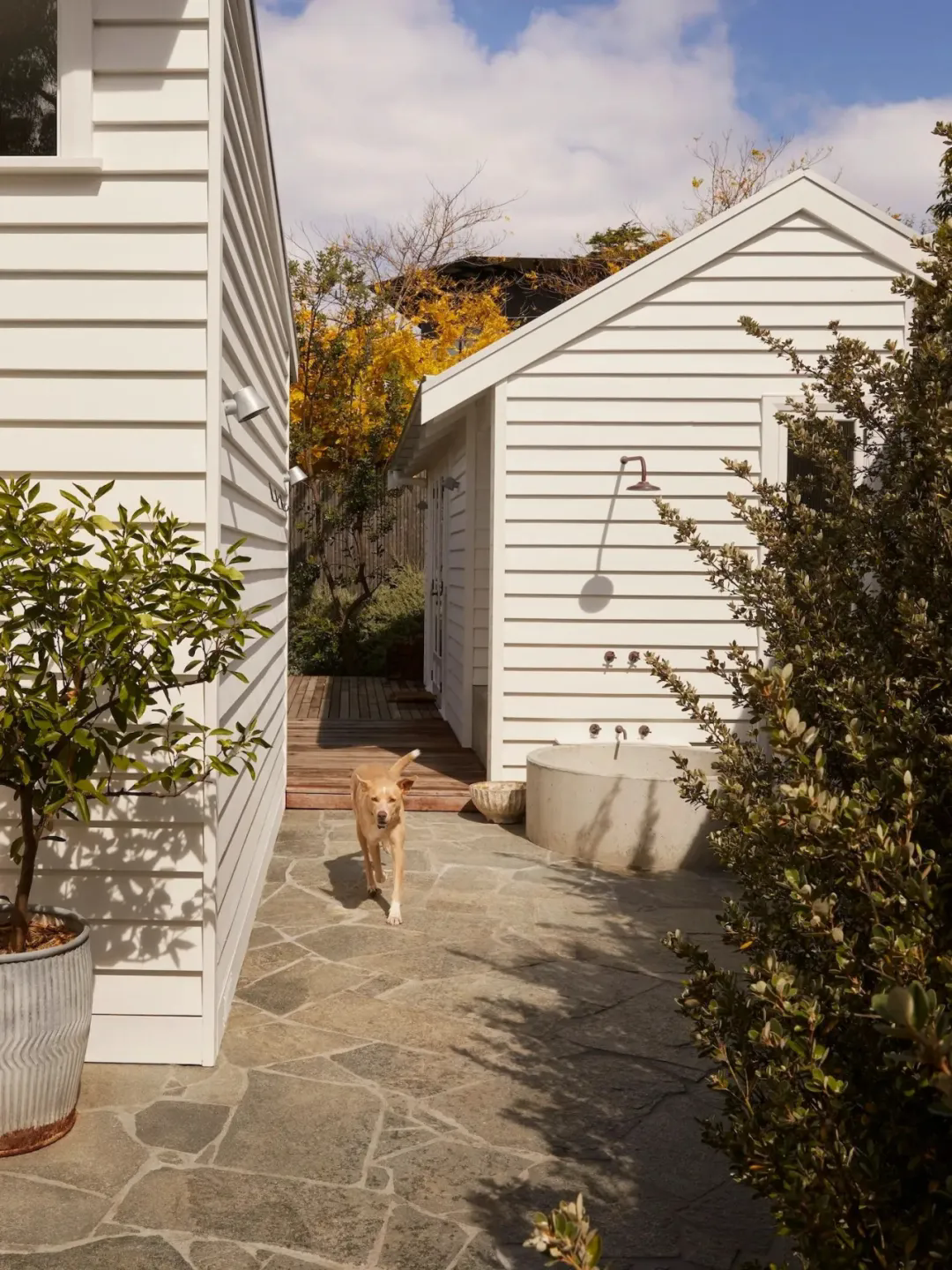 轻松治愈 · 在海风与绿意间找回生活的松弛感丨澳大利亚丨Studio George (室内),Ooz Designs (建筑)-32