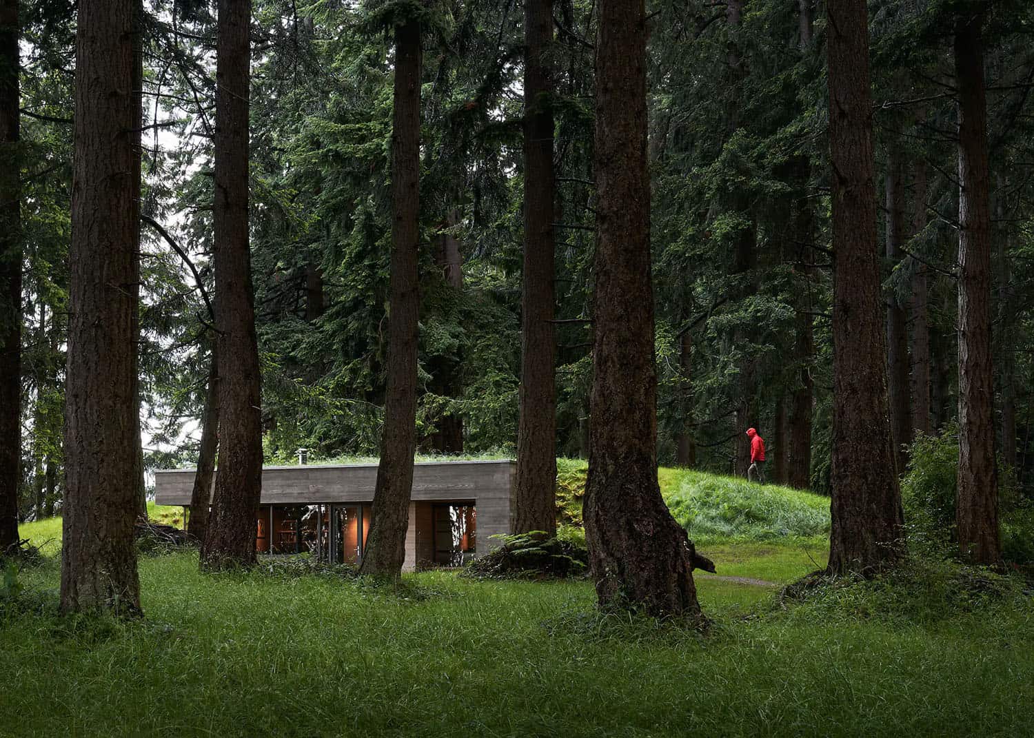 An intimate retreat tucked into a forest overlooks serene Puget Sound-15