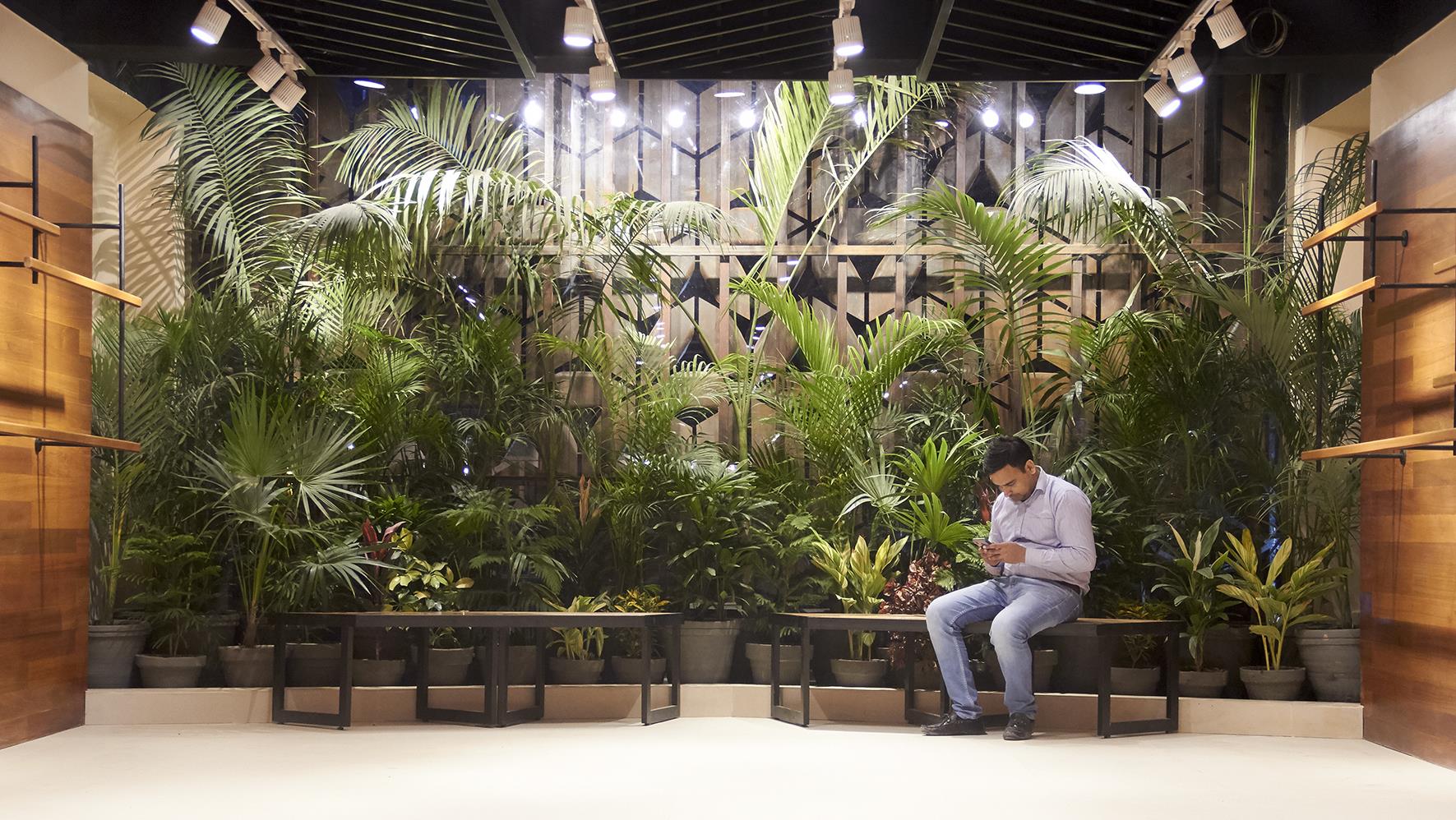 巴基斯坦旗舰店“荷塘”意境设计，彰显犍陀罗文明魅力-0