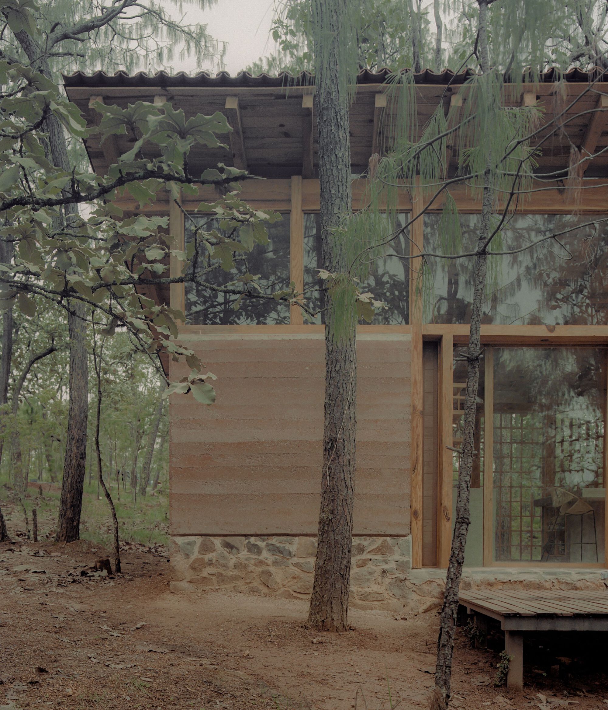 萤火虫之家丨墨西哥-16