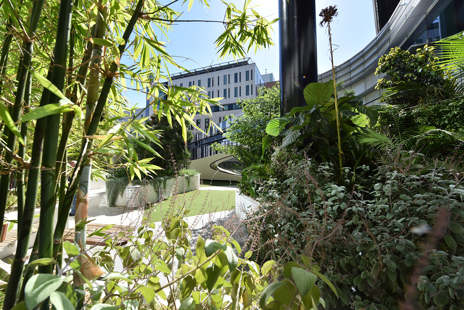 维多利亚综合癌症中心周围景观-32