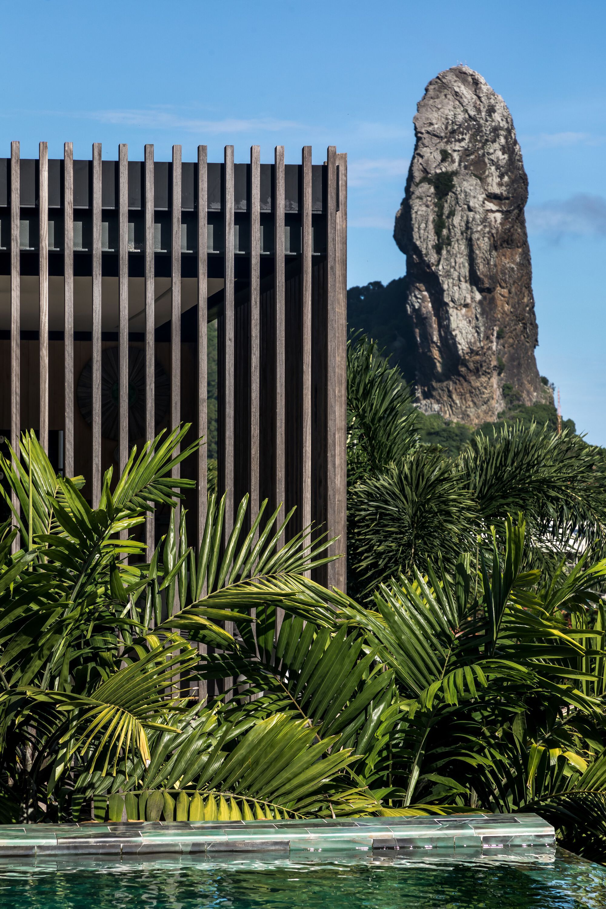 玛丽亚弗洛尔酒店丨巴西丨Priscilla Muller,Solo Arquitetos-40