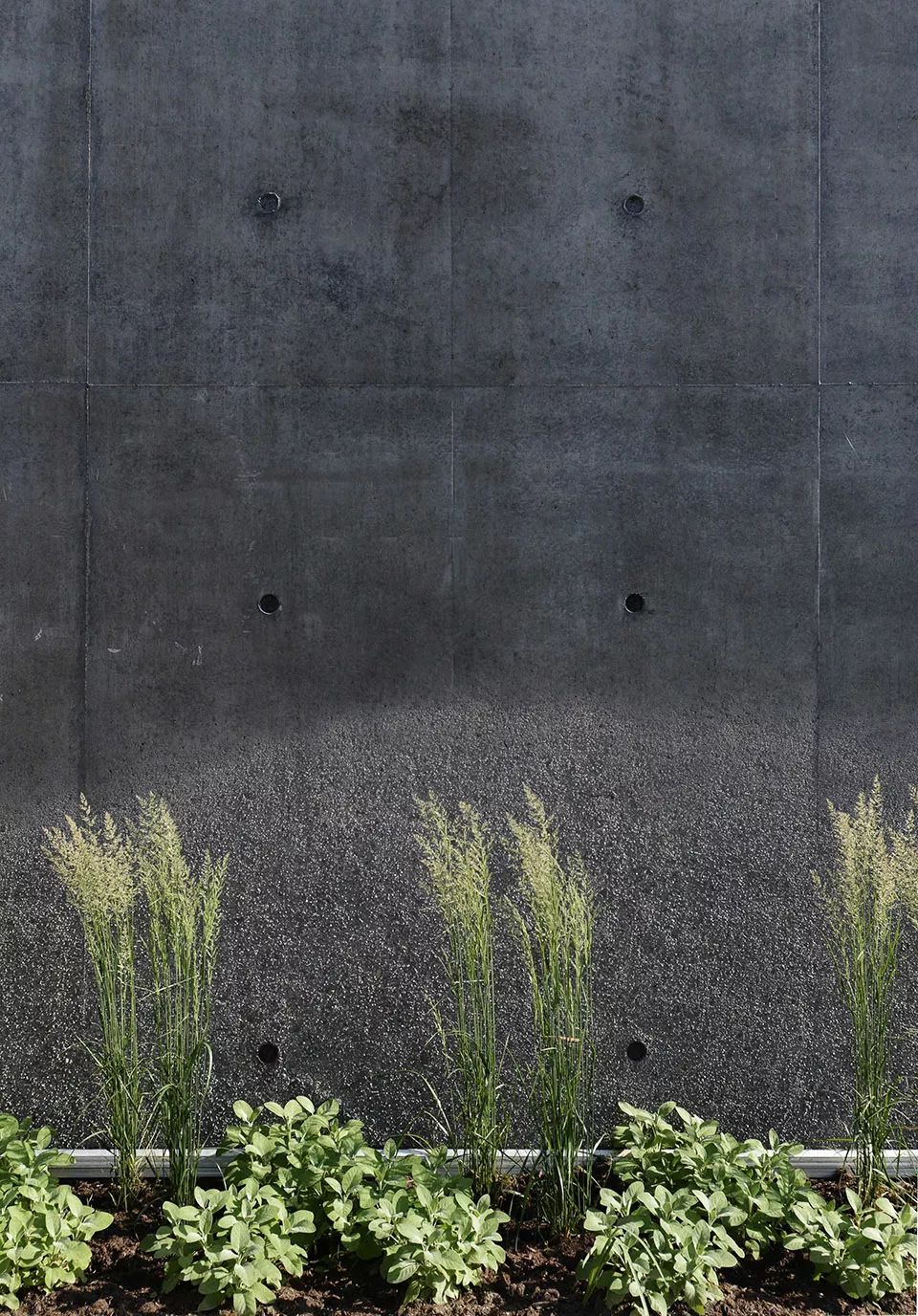 里永剧院天堂电影院,传统与现代的完美融合-43