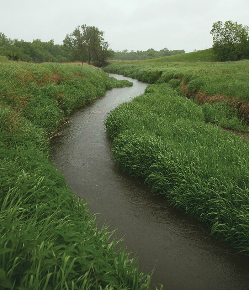 跨州公园的文化景观规划 | Blood Run 遗址的保护与重生-41