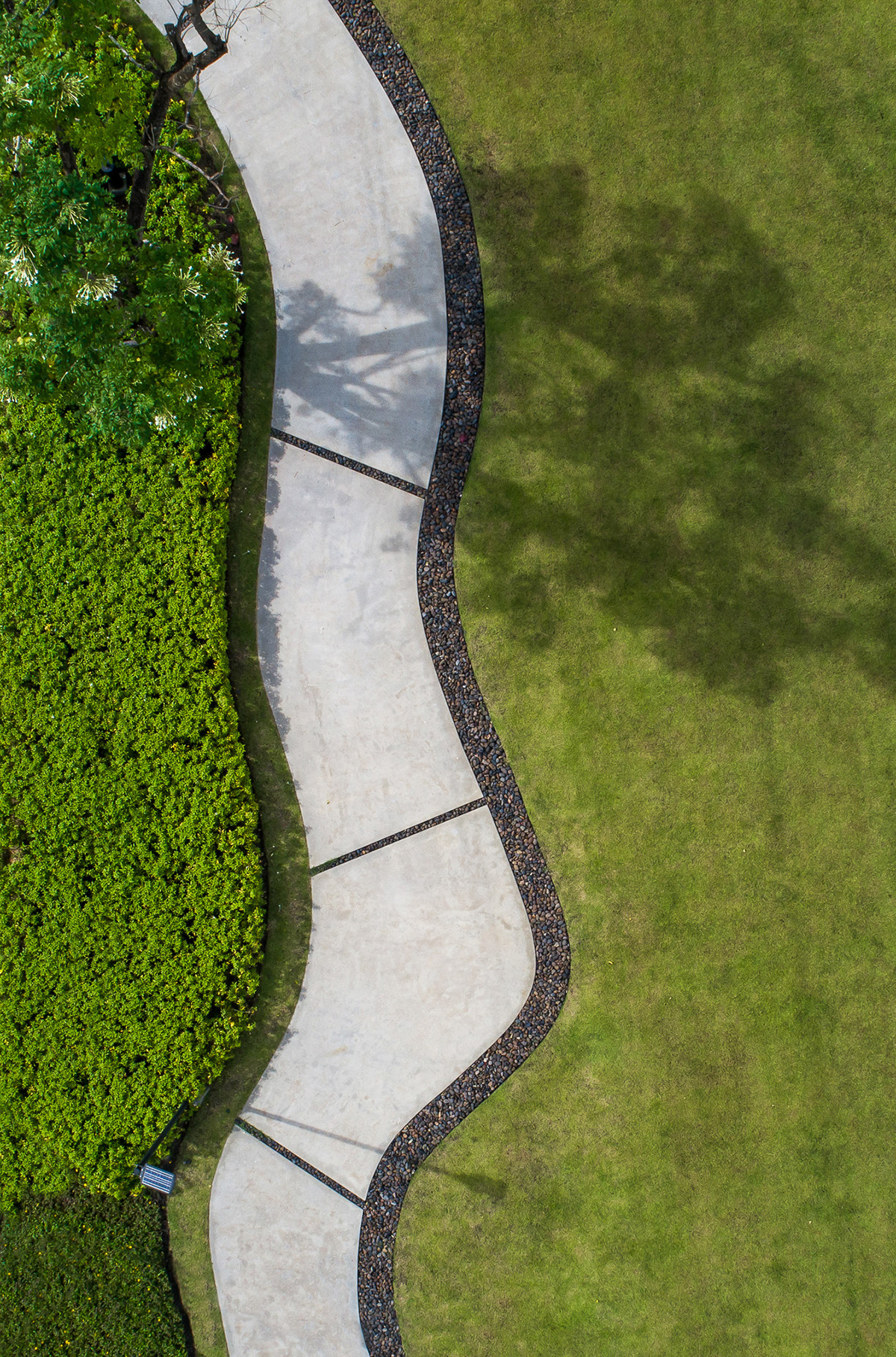 布拉西里·拉差普鲁克 345丨泰国丨PanoramicStudio-15