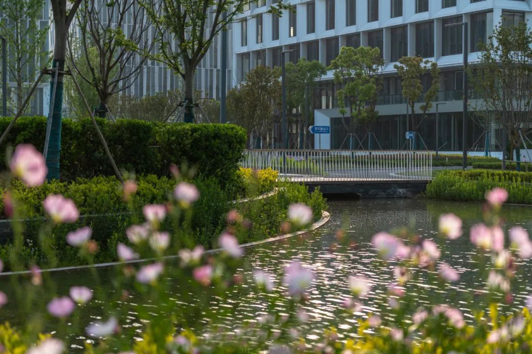 上海“科技绿洲”高端园区景观丨中国上海-13