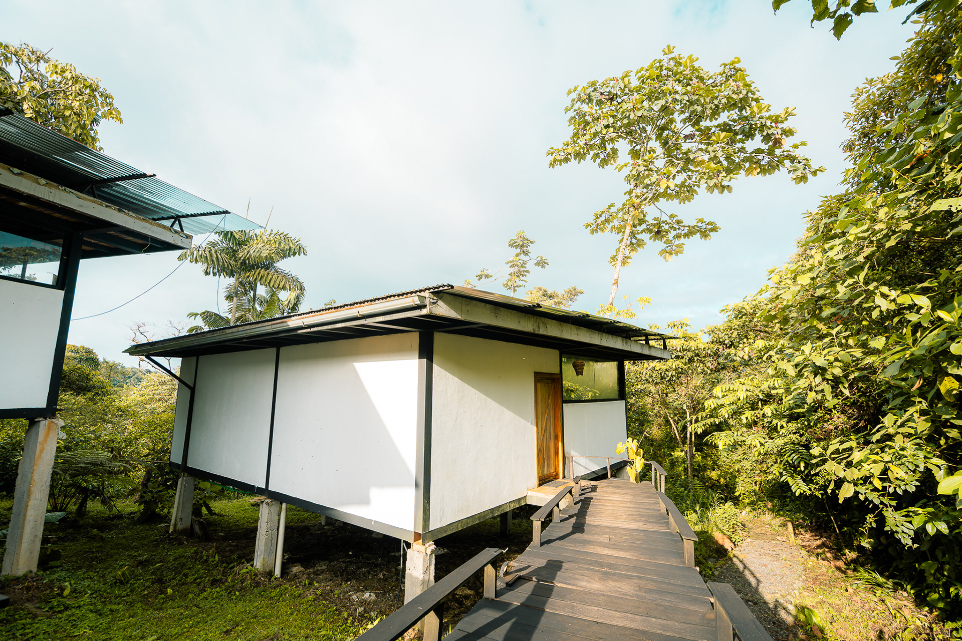 Cedro Amazon Lodge-7
