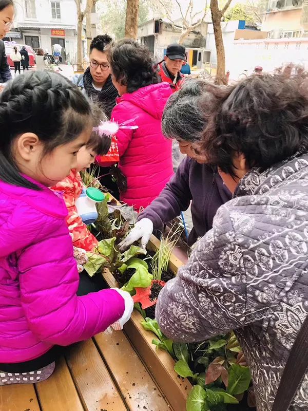 武欣：命途多舛的小路改造记-84