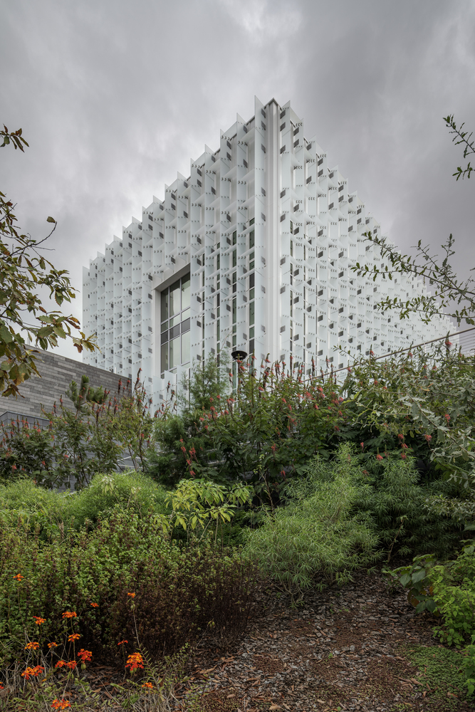 中美 Guatemala 大使馆丨The Miller Hull Partnership-25