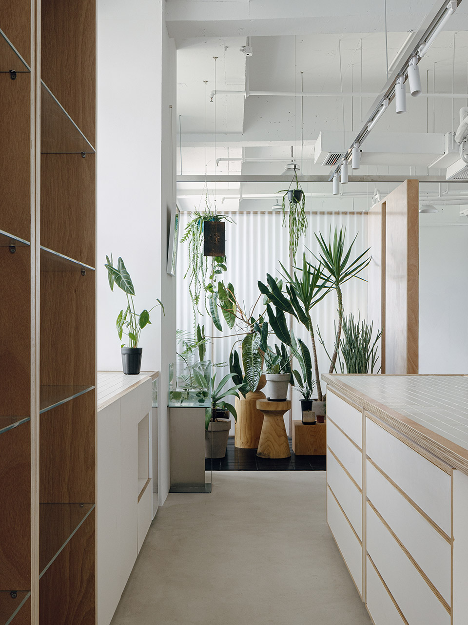 白方摄影工作室丨中国杭州丨Atelier LAI Horizon-27