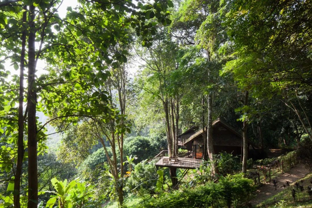 670㎡度假村 | 原生态木工作坊,Glenn Murcutt 式偏远地区建筑技巧-31