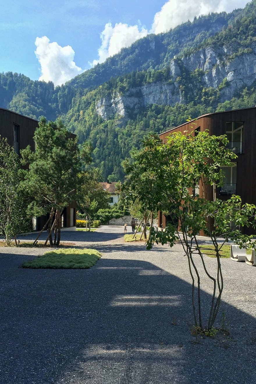 Näfels 市新住宅区设计丨瑞士-8