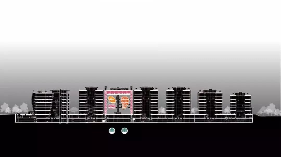 SPARK 思邦玩转滨水地标！星光兰、上海之吻等 10 大项目惊艳亮相-129