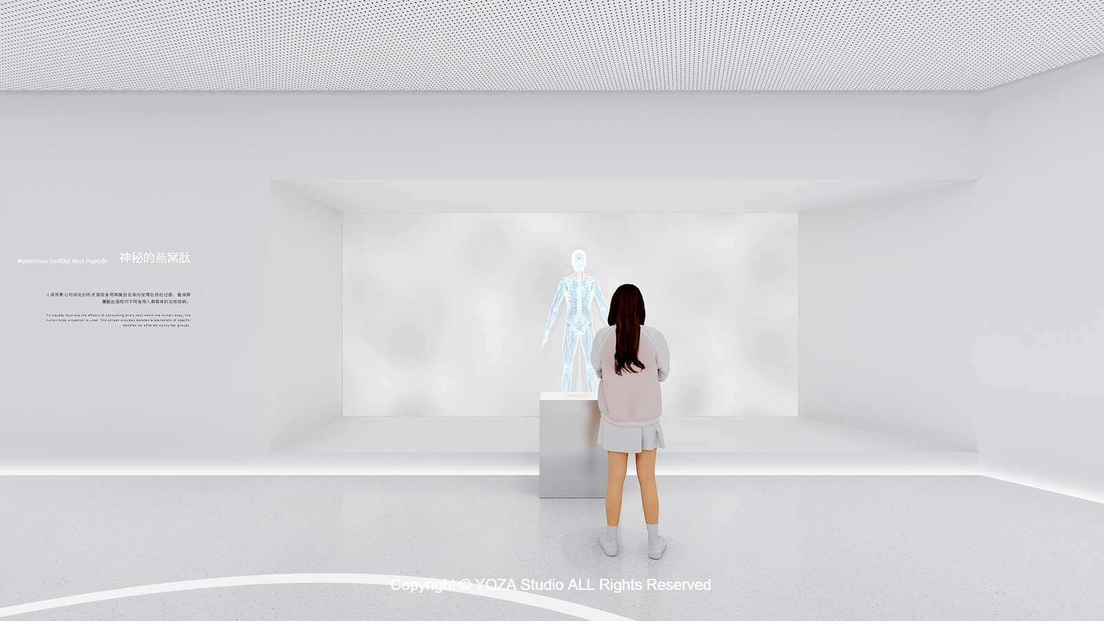 燕窝产业园展示厅-SWALLOW NEST INDUSTRY PARK SHOWROOM-5