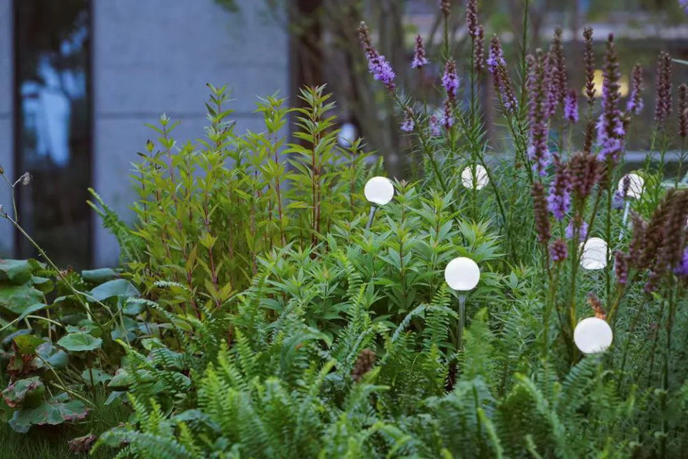嘉兴万科·臻境荟景观设计丨中国嘉兴丨LAURENT 罗朗景观-24
