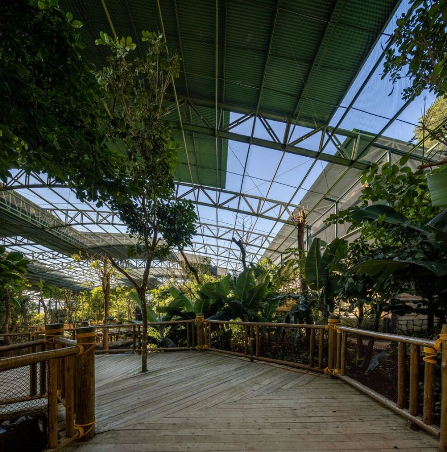 沉浸式动物园设计丨巴西圣保罗丨Alessandro Malara-38