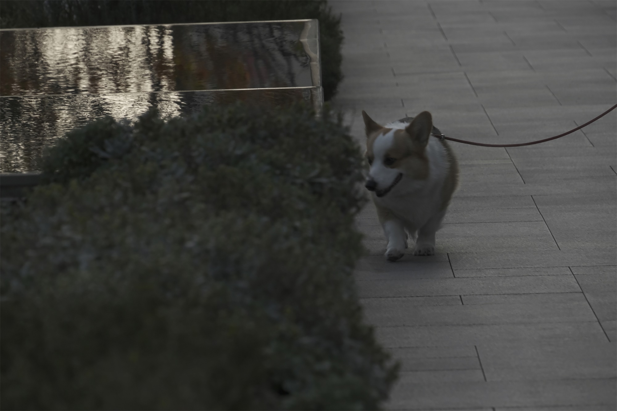 长沙万象城丨中国长沙丨MIND迈德景观,Sasaki,CRTKL楷亚锐衡等-93