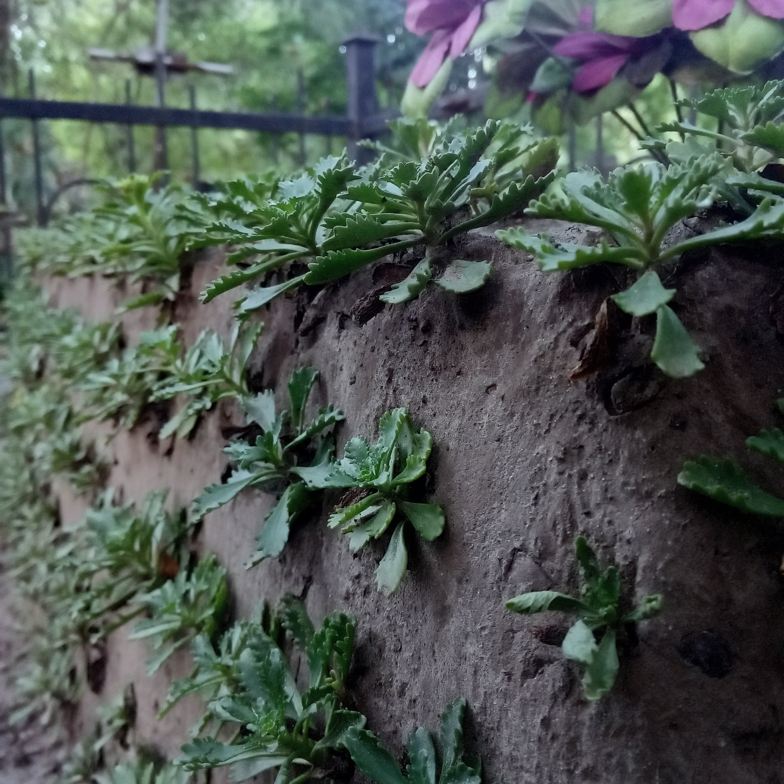 My trip to the land of death-5