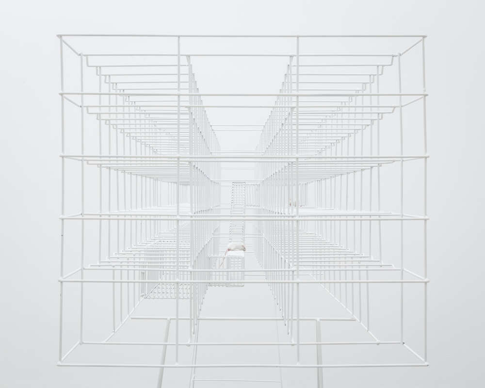 假释；有条件释放；言语（在语言学中指个人的实际言语行为）丨Daniel Zamarbide与Leopold Banchini-7