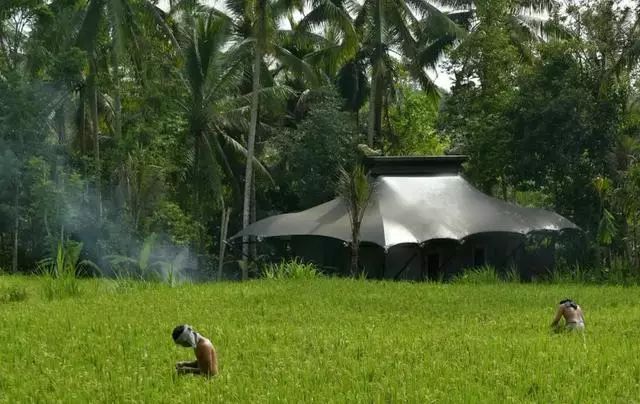 嘉佩乐酒店丨多个设计公司-100