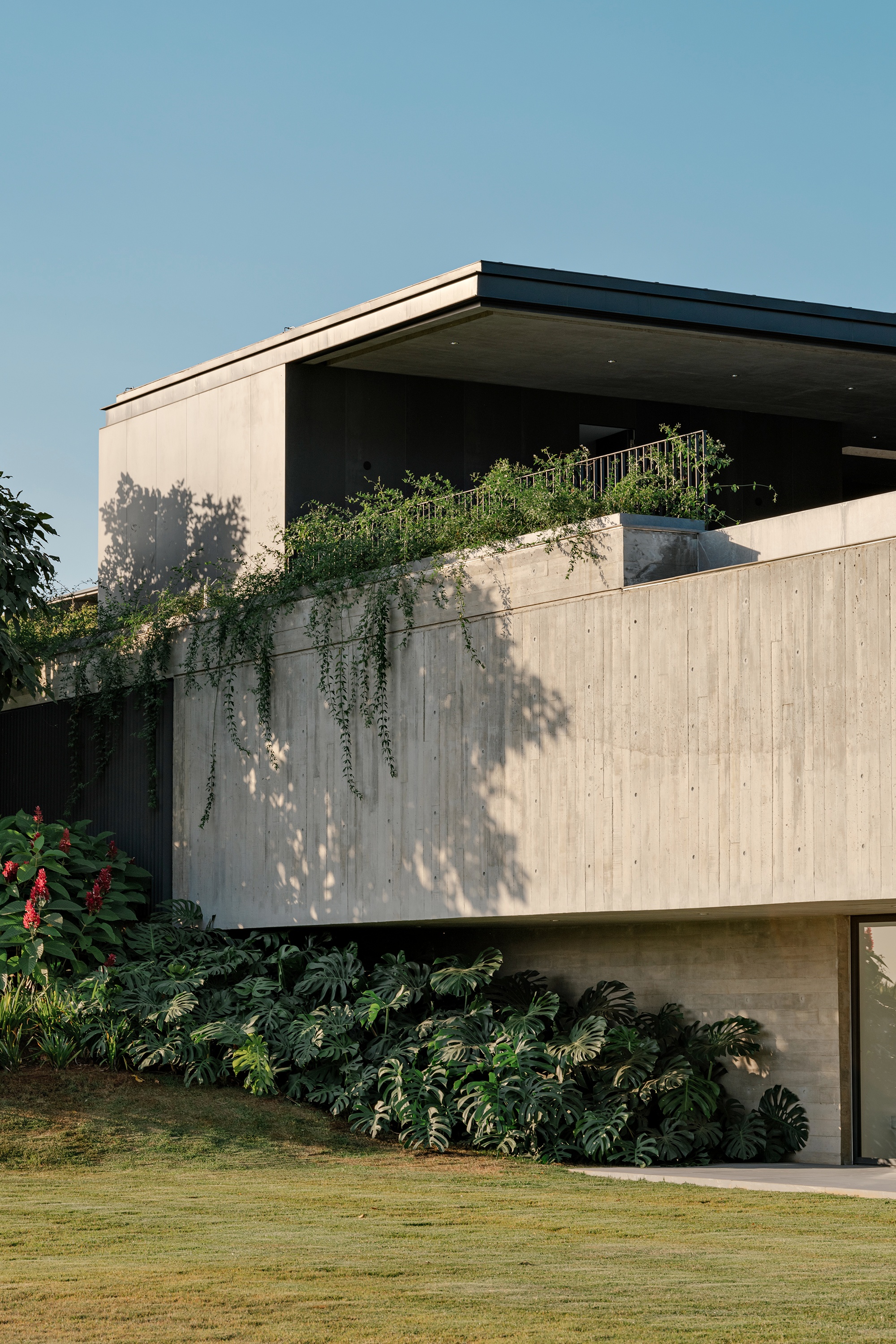 CL住宅:在地的营造丨巴西圣保罗-7