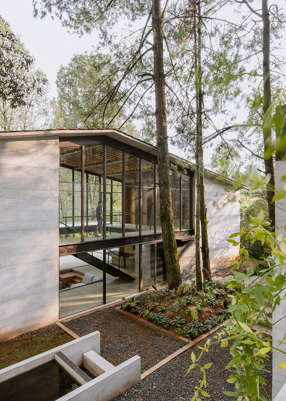 高树之家丨墨西哥丨1i Arquitectura-4