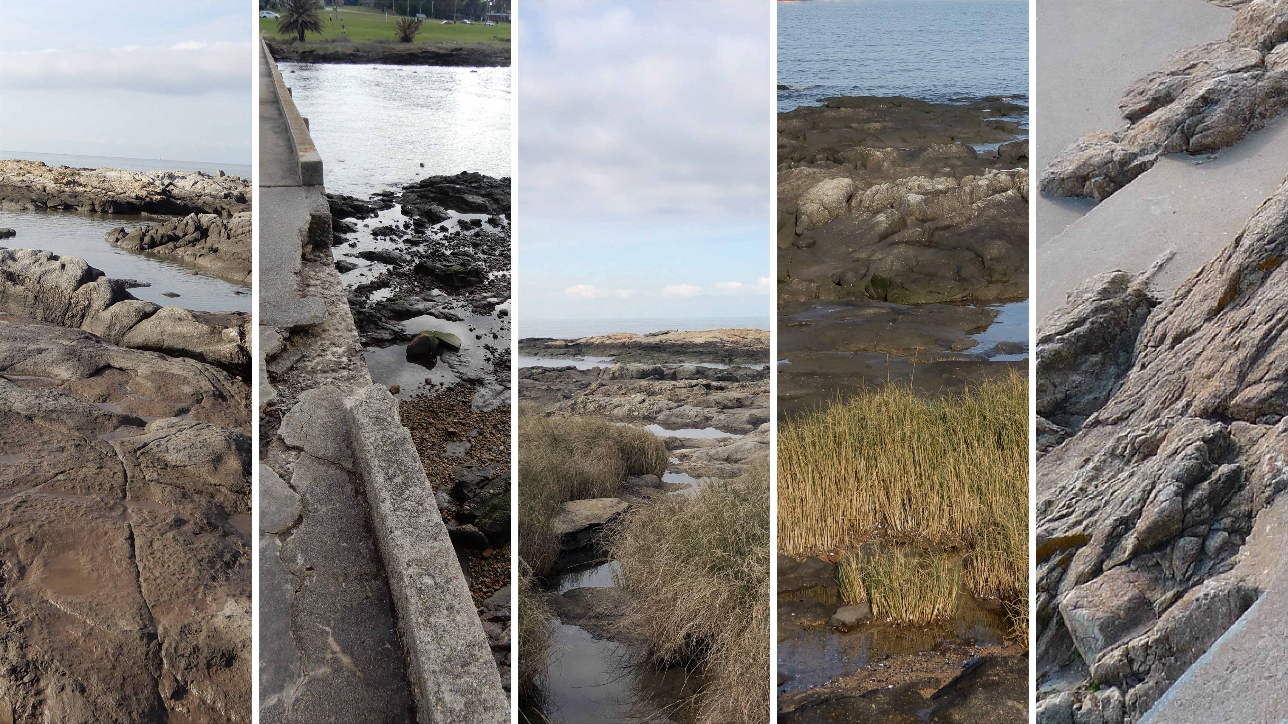 疫情世界纪念-26