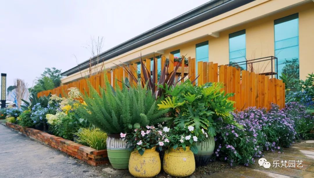 乐梵园艺打造成都花木博览会快闪花园,惊艳全场-25