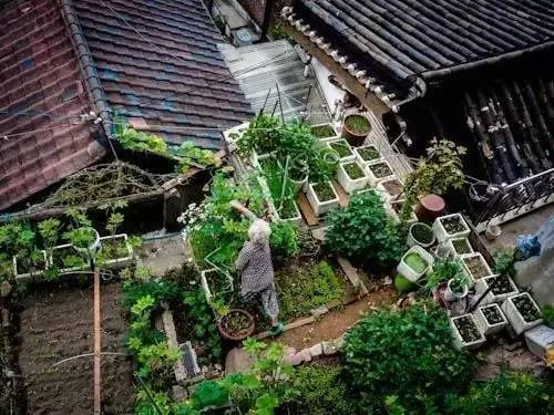 绿色生活趋势 | 可食地景打造城市美观实用景观-60