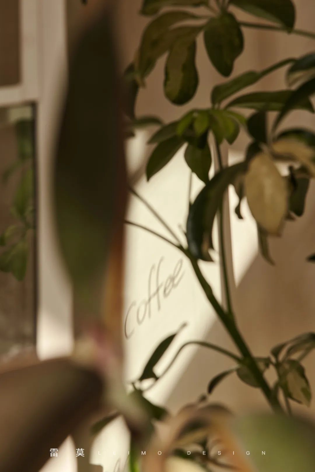 江苏大森咖啡丨中国江苏丨雷莫设计-32
