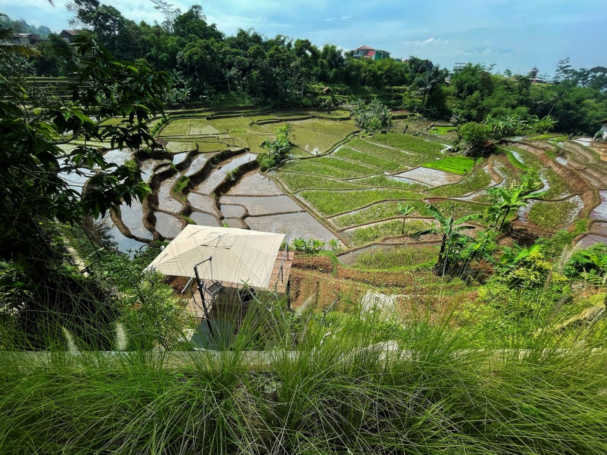 萨瓦萨伊·布尼萨里住宅丨印度丨BASIO-37