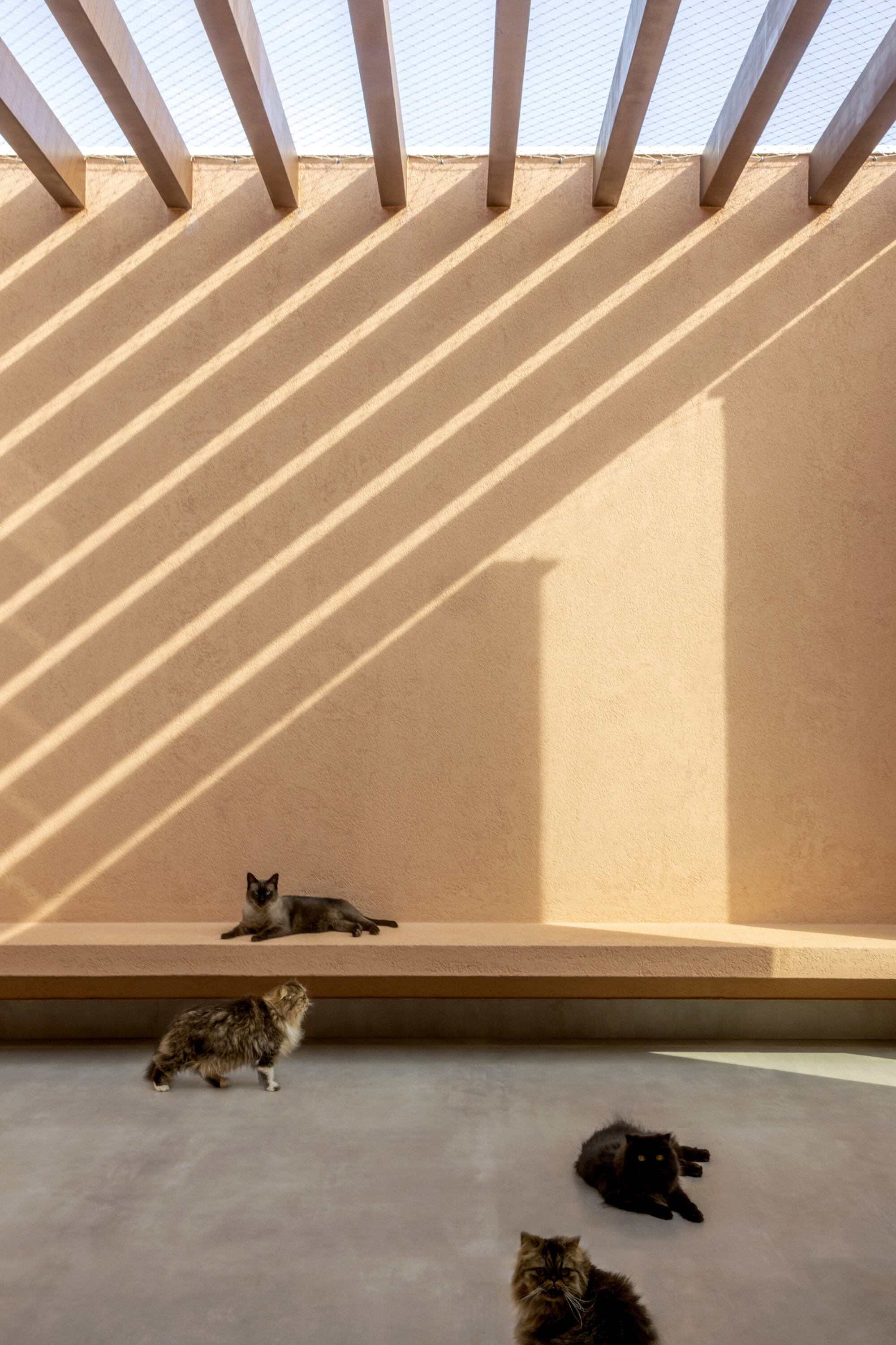 丨巴西巴西利亚丨SAINZ arquitetura-24