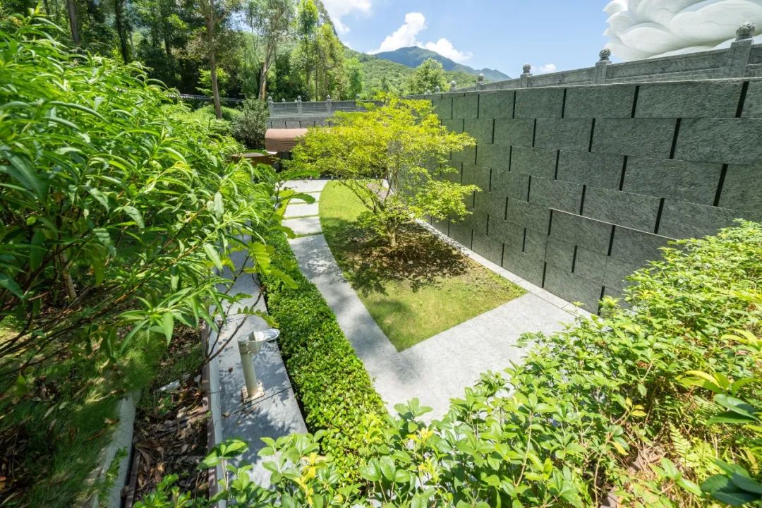 中国香港大埔区慈山寺周围绿色景观丨LWK+PARTNERS-26
