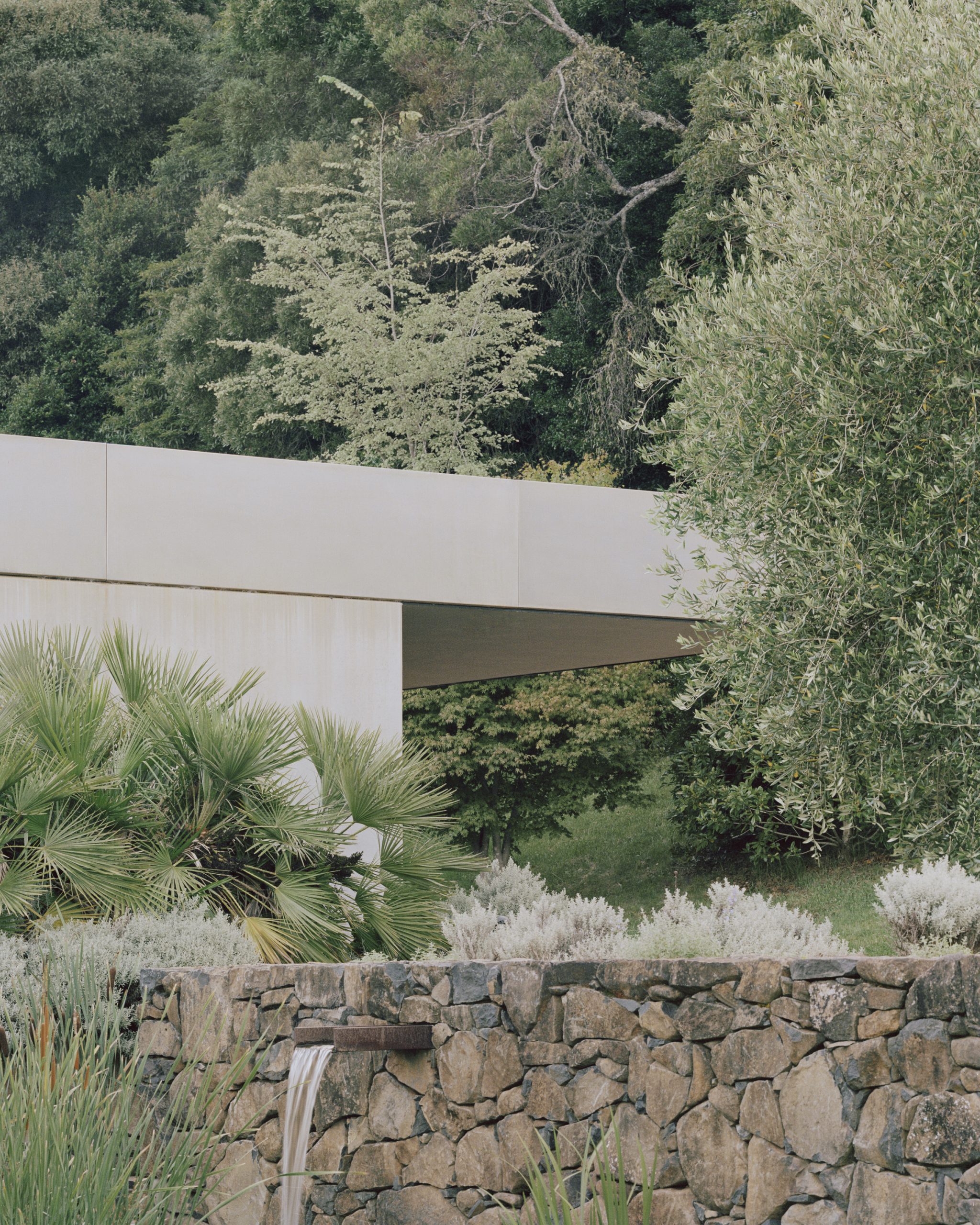 帕洛玛丨澳大利亚悉尼丨Fearon Hay-10