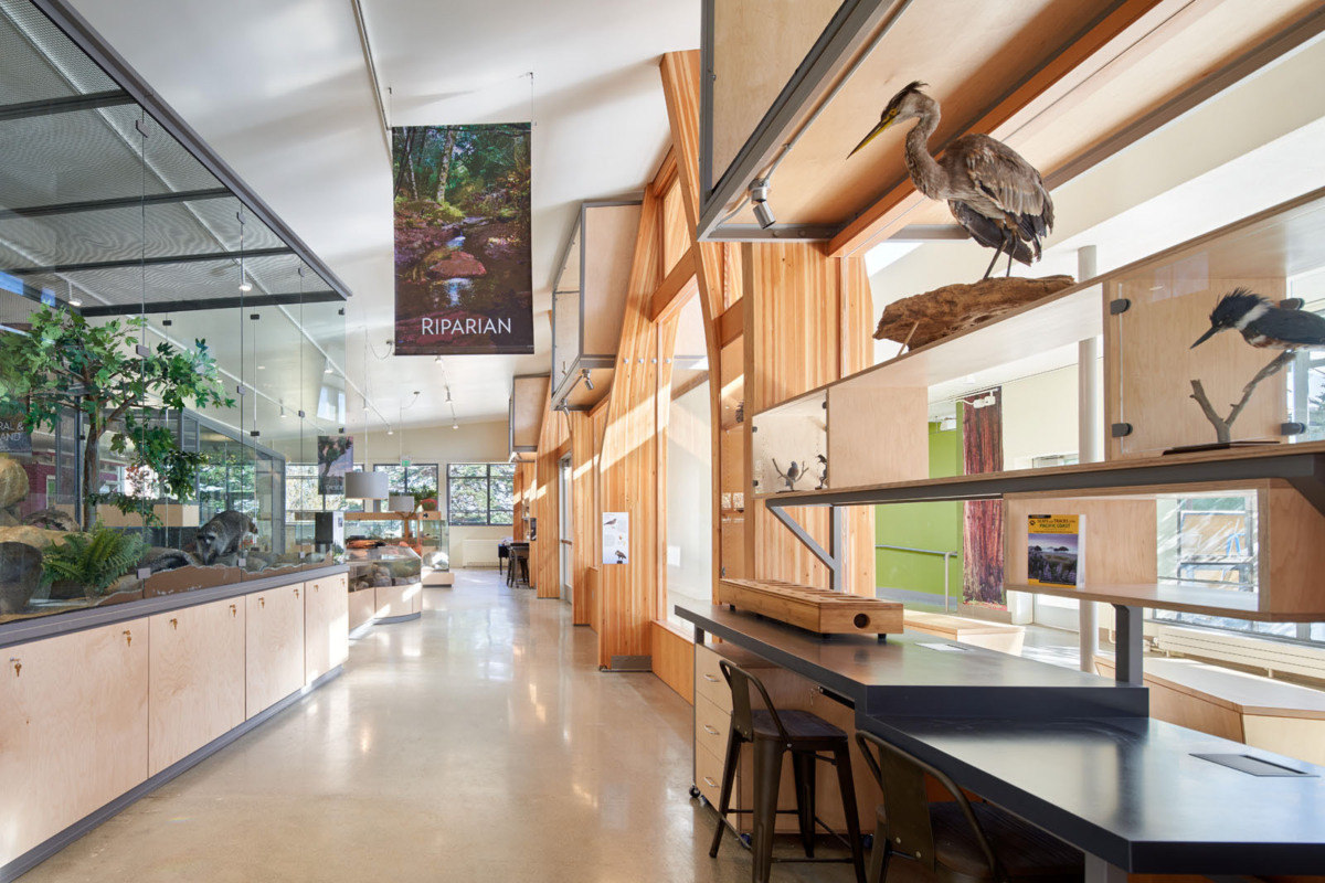 旧金山 Randall 博物馆翻新升级,绿色环保互动体验-13