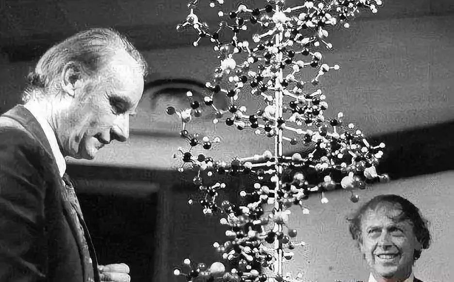 《无面时代 2 | 空间,病毒与信息》解读-21