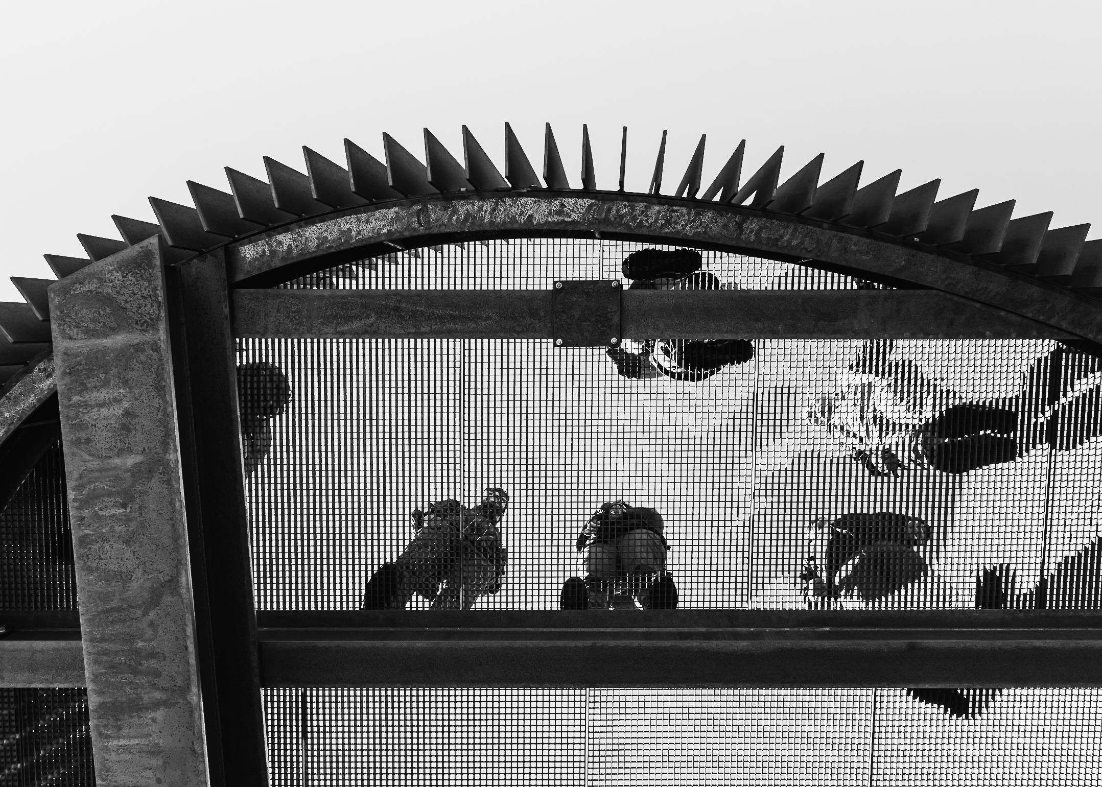 ÖtziPeak3251m-noa*NetworkofArchitecture-24