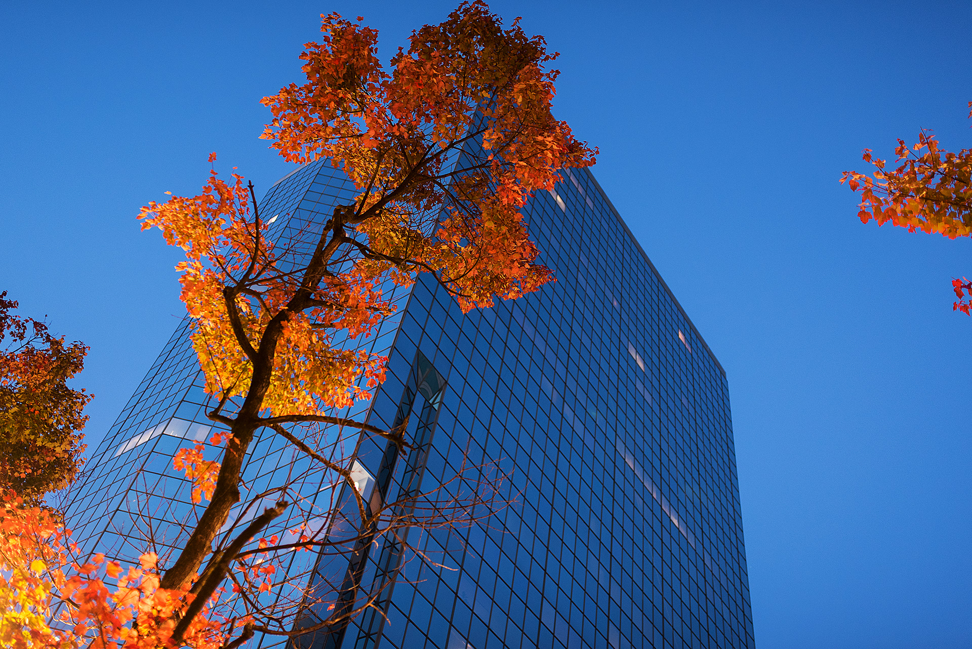 Knoxville, TN (USA).-13