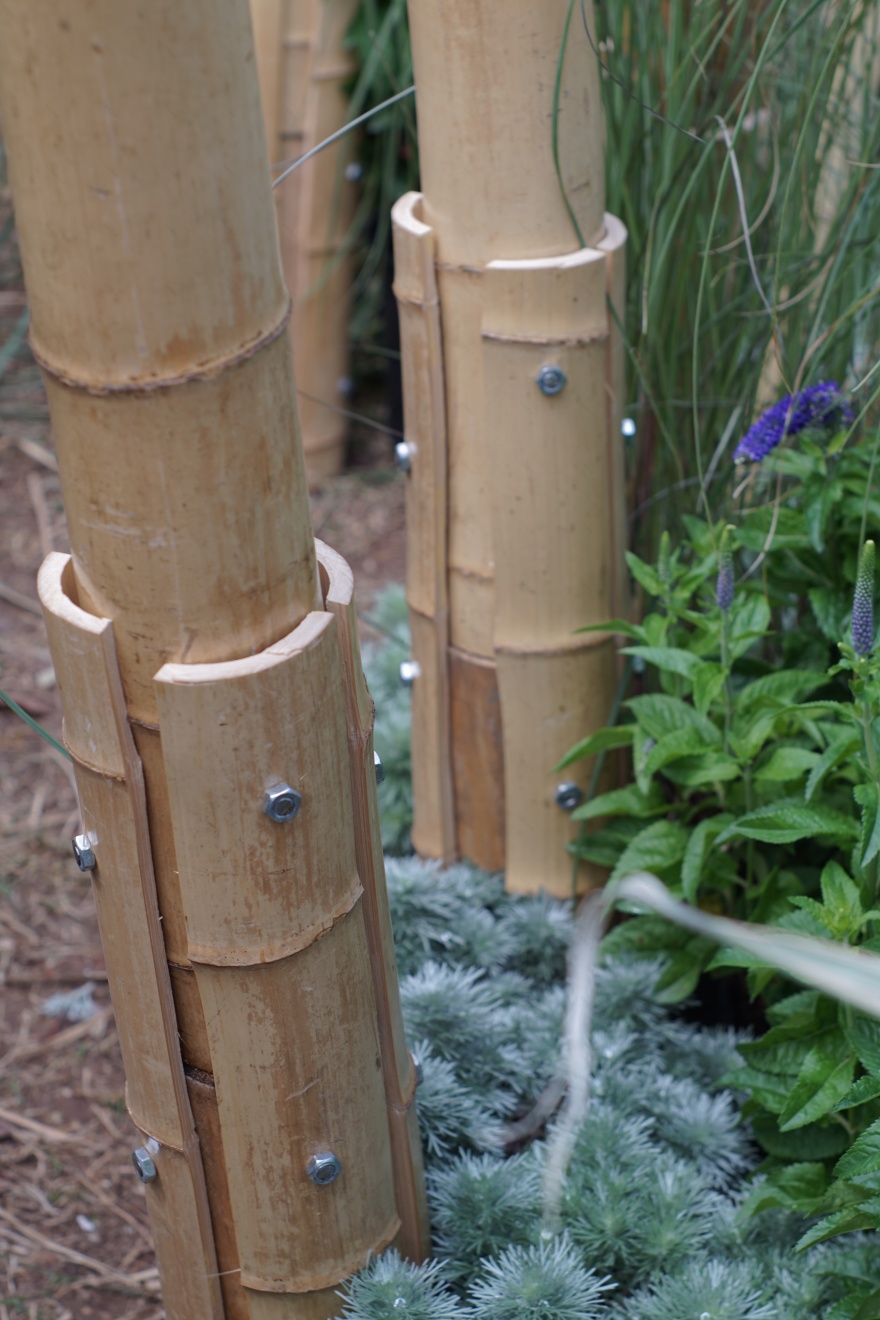 竹林丨中国成都丨Atelier Folie(北林风景建筑研究中心)-36