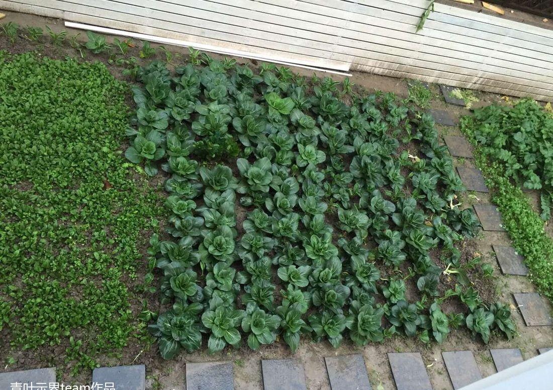 青浦别墅的实用宜居设计-34