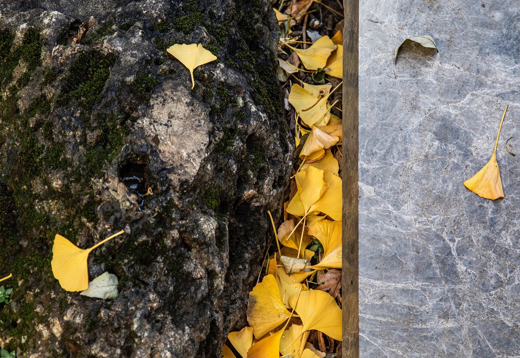 满园丨中国北京丨TAOA陶磊建筑-114