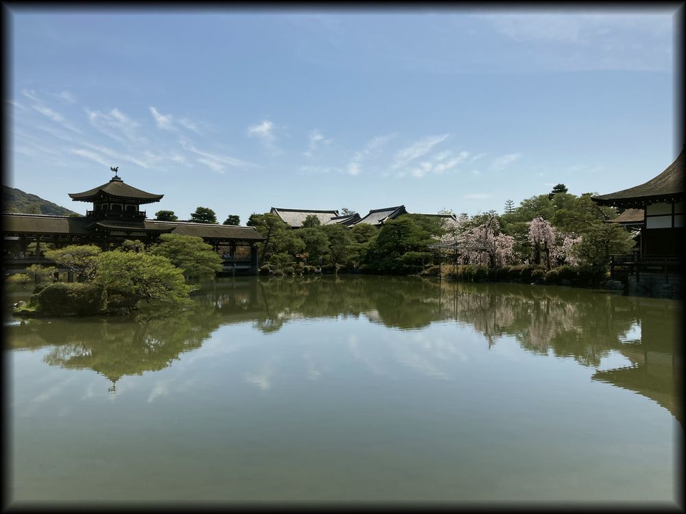 平安神宮の桜相关景观丨日本京都-9