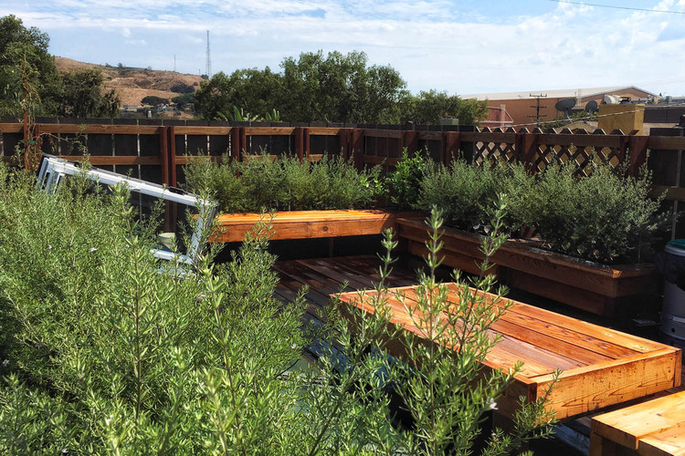 Sparrow House  Samantha Mink-6