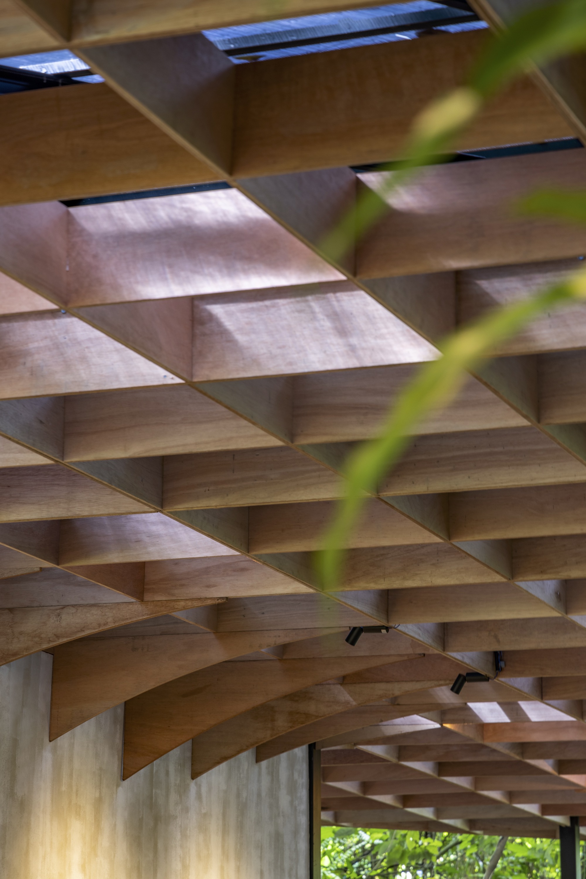 贾亭丨印度丨DDAP Architect-34