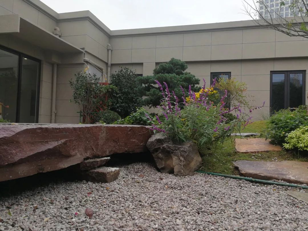 迪赛·东篱——新中式风格的庭院美学-86